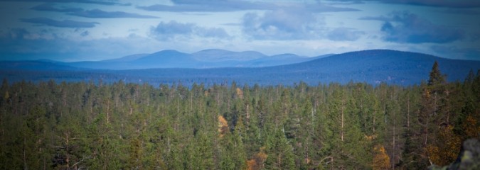 Interview with NUTS Midnight Sun Trail Ultra Interview with NUTS Midnight Sun Trail Ultra