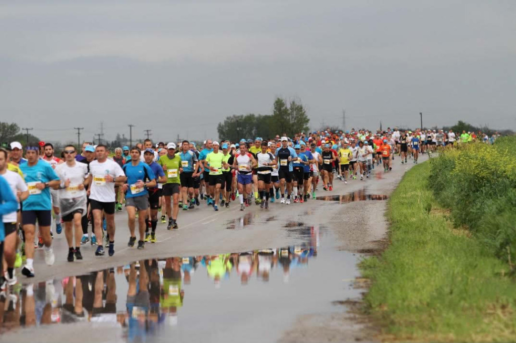 alexanderthegreatmarathon4